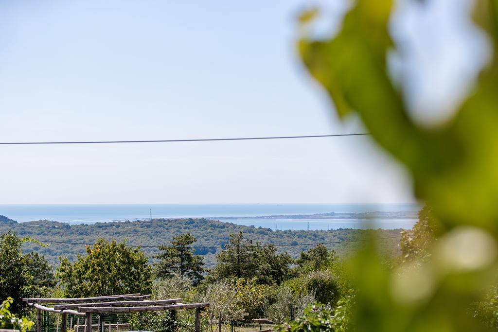 Vila Sistiana Kostanjevica na Krasu Exterior foto